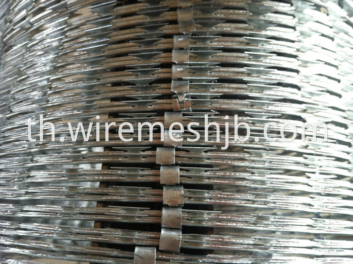 Galvanized Razor Barbed Wire